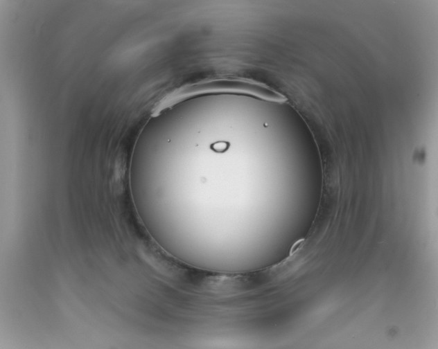 X0000091660082200709061030