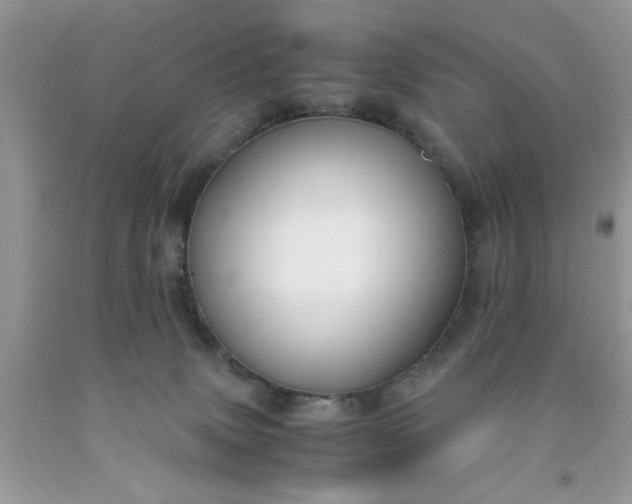 X0000091660083200709061030