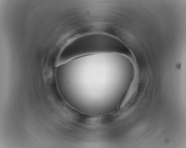 X0000091660084200709061030