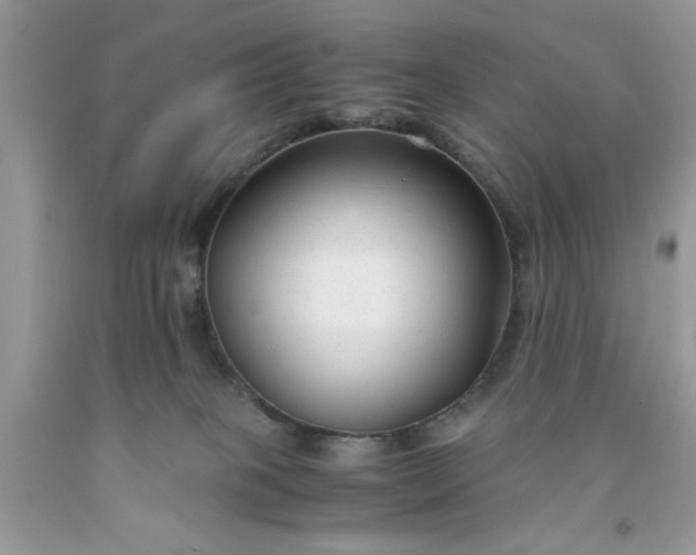 X0000091660085200709061030