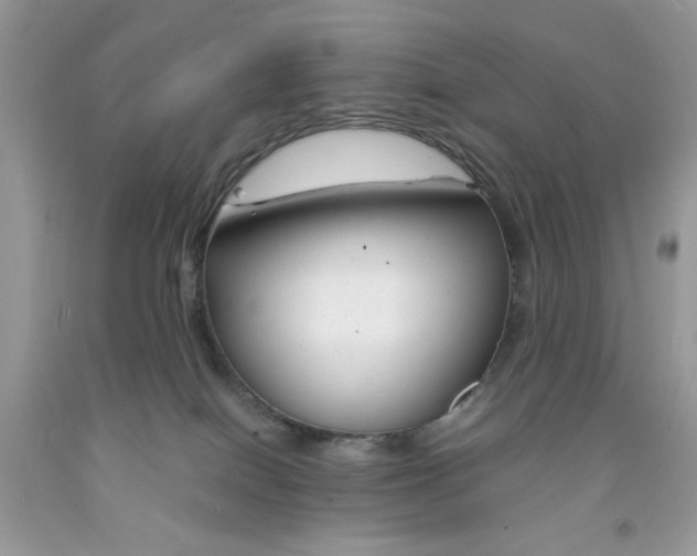 X0000091660086200709061030