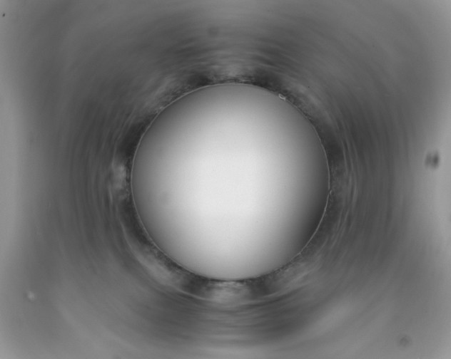 X0000091660087200709061030