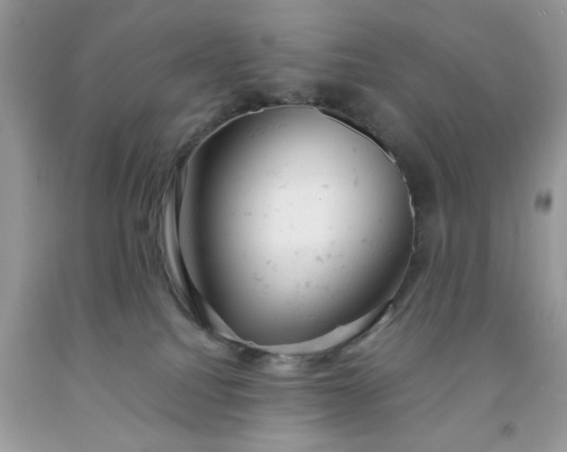 X0000091660088200709061030