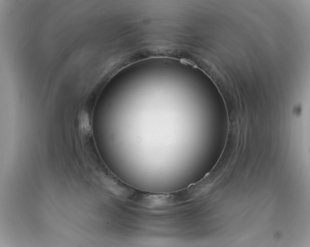 X0000091660089200709061030