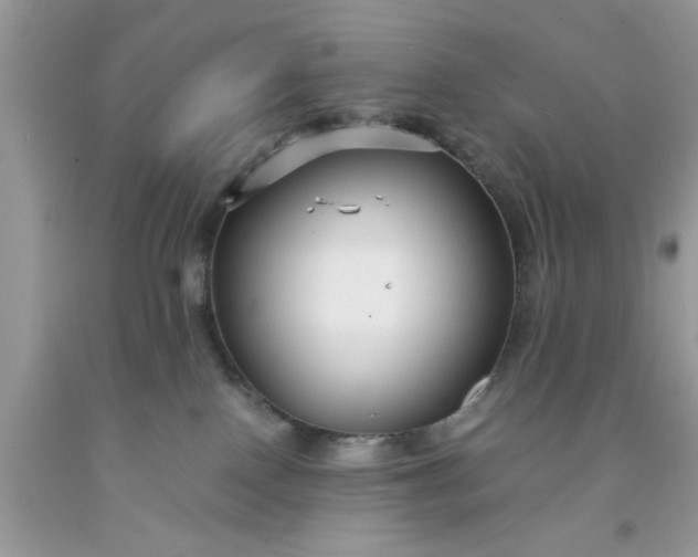 X0000091660090200709061030