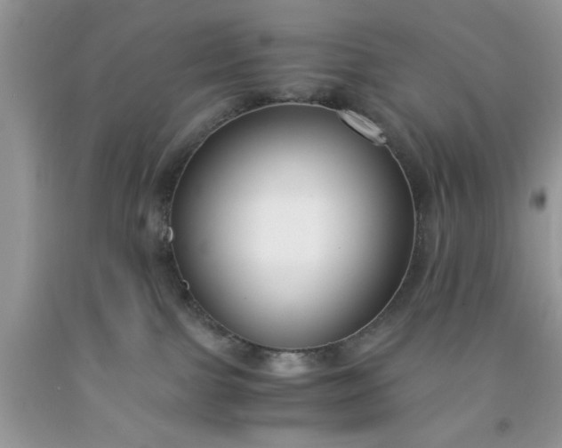 X0000091660091200709061030