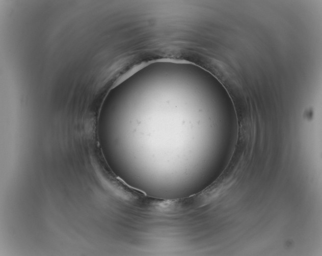 X0000091660092200709061030