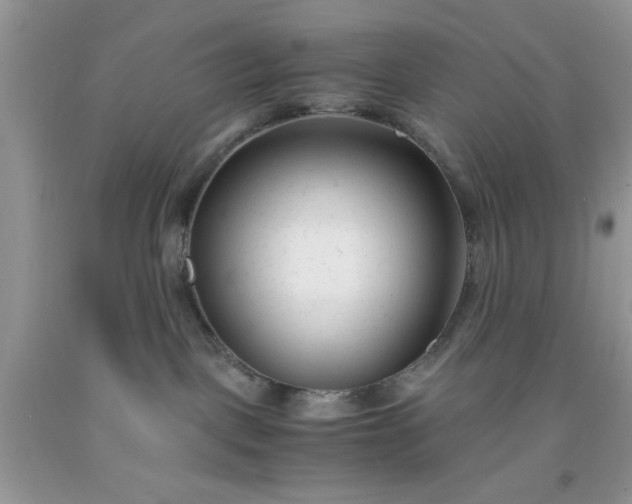 X0000091660093200709061030