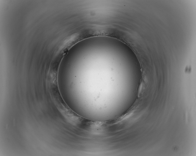 X0000091660096200709061030