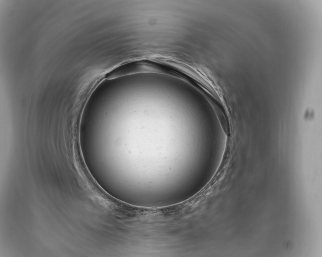 X0000091660097200709061029