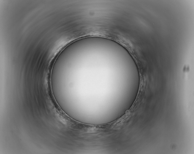 X0000091660098200709061029