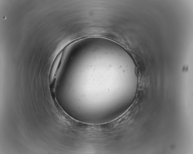 X0000091660099200709061029