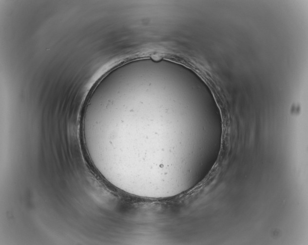 X0000091660100200709061029