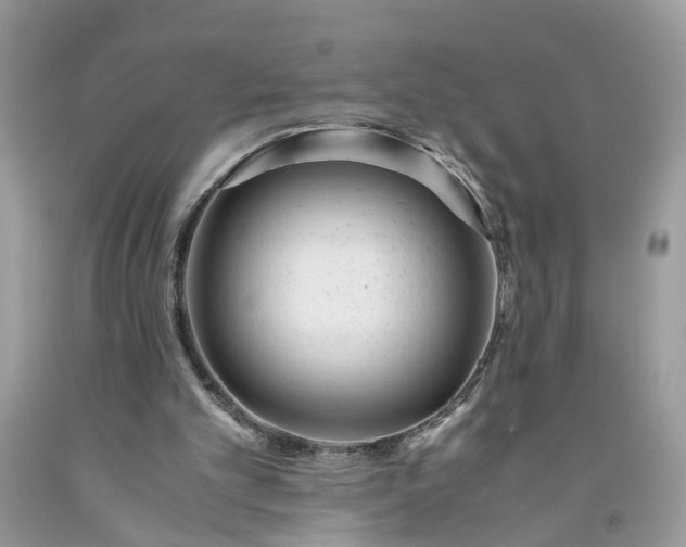 X0000091660101200709061029