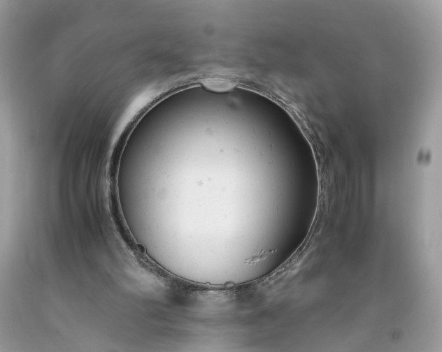 X0000091660102200709061029