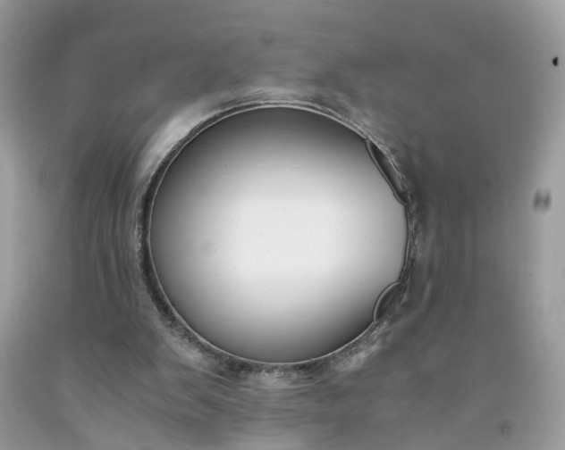 X0000091660103200709061029