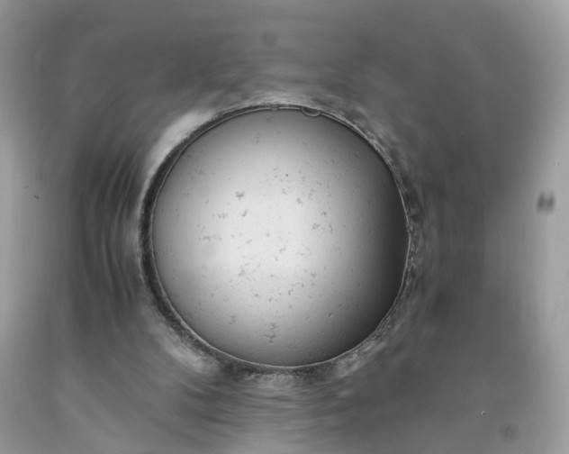 X0000091660104200709061029