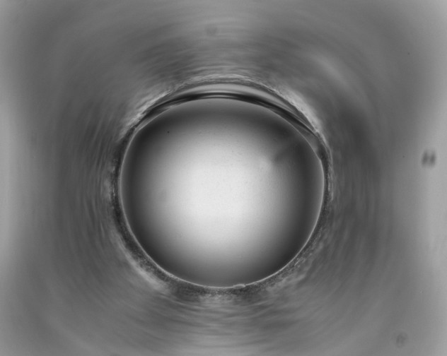 X0000091660105200709061029