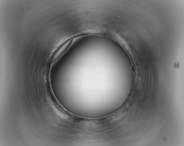 X0000091660106200709061029