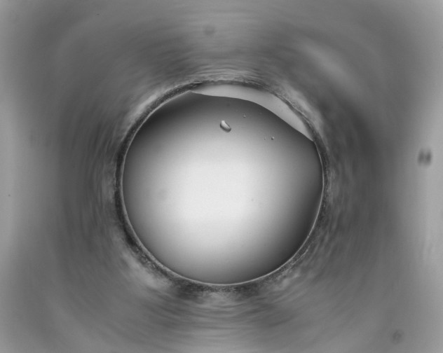 X0000091660107200709061029