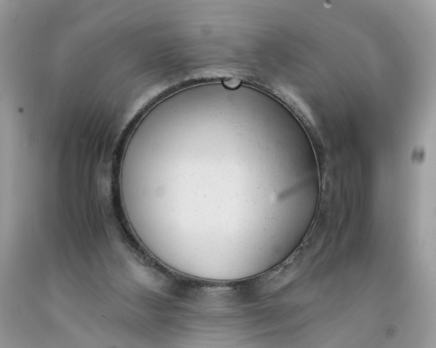 X0000091660108200709061029