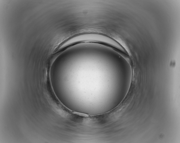 X0000091660109200709061029