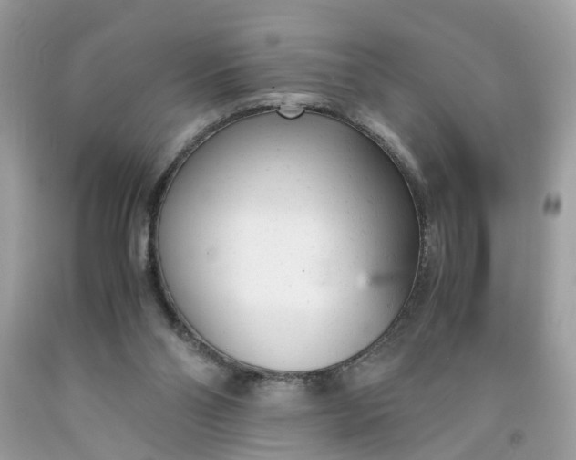 X0000091660110200709061029