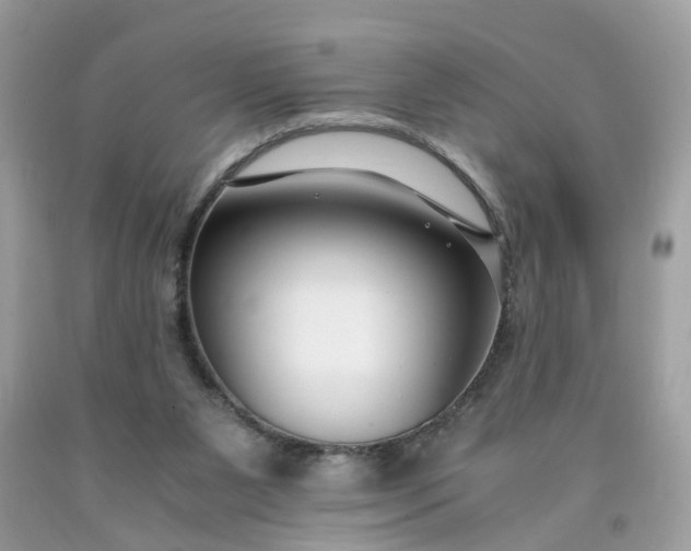 X0000091660111200709061029