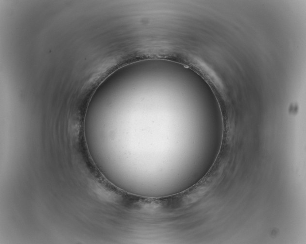 X0000091660113200709061029