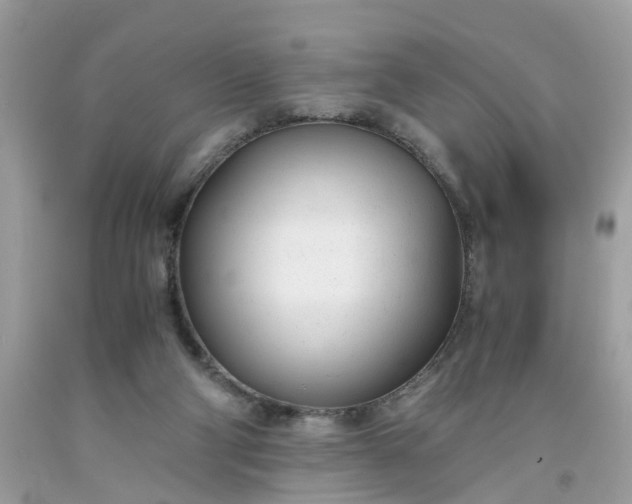 X0000091660114200709061029