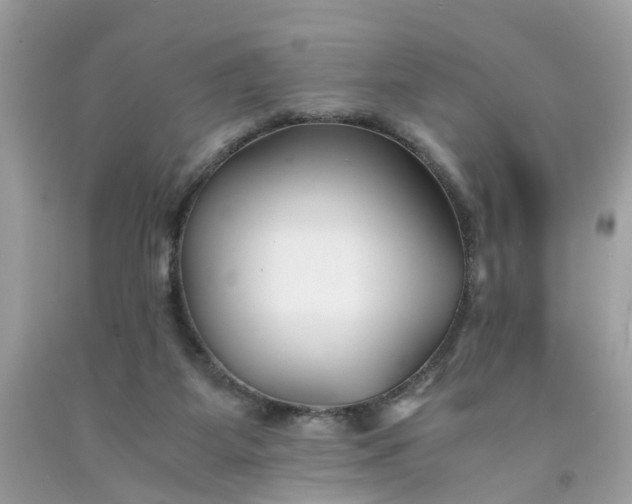 X0000091660115200709061029