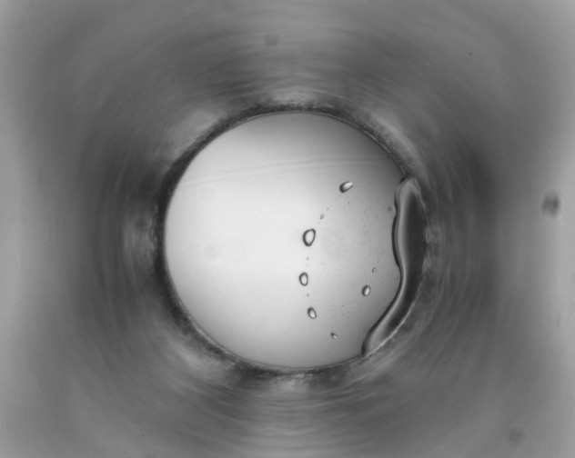 X0000091660116200709061029