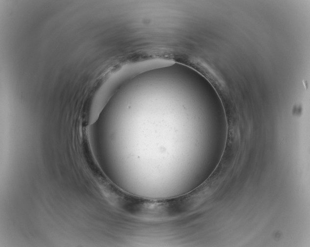 X0000091660117200709061029