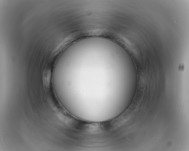 X0000091660118200709061029