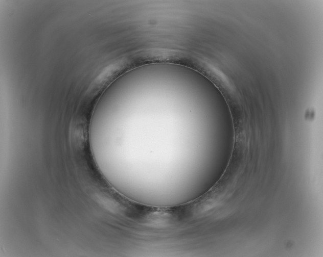 X0000091660119200709061029