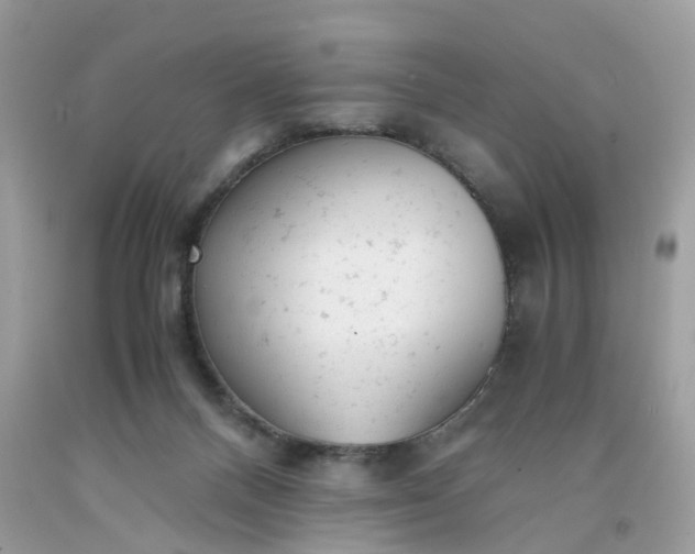 X0000091660120200709061029