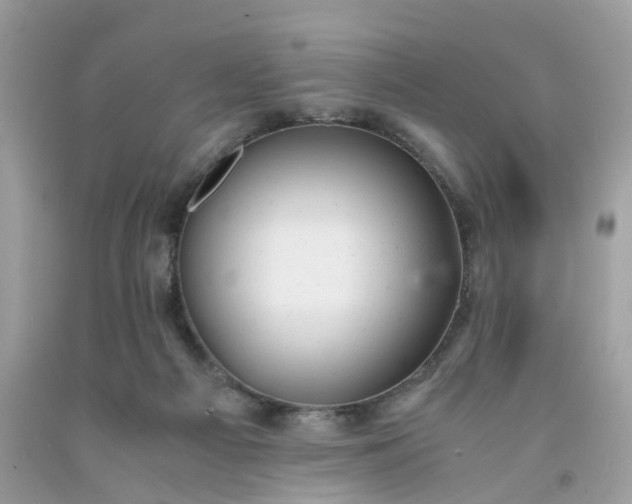 X0000091660121200709061029