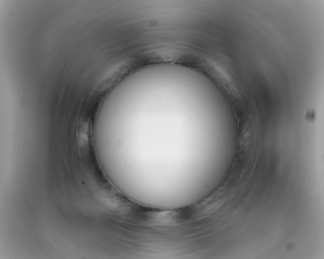 X0000091660122200709061029