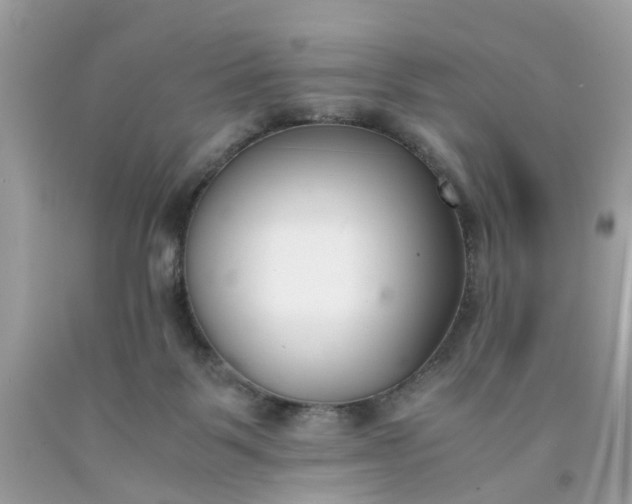 X0000091660123200709061029