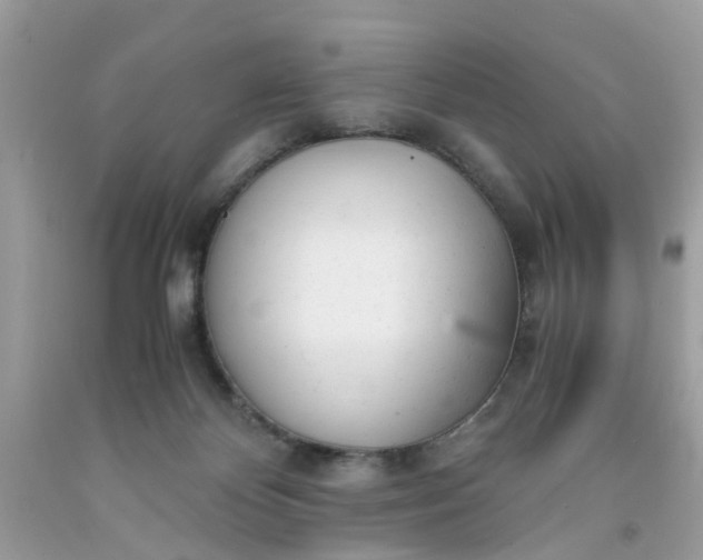 X0000091660124200709061029