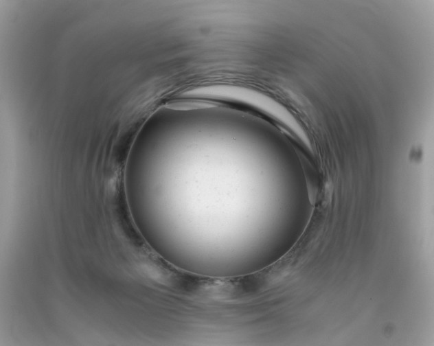 X0000091660125200709061029