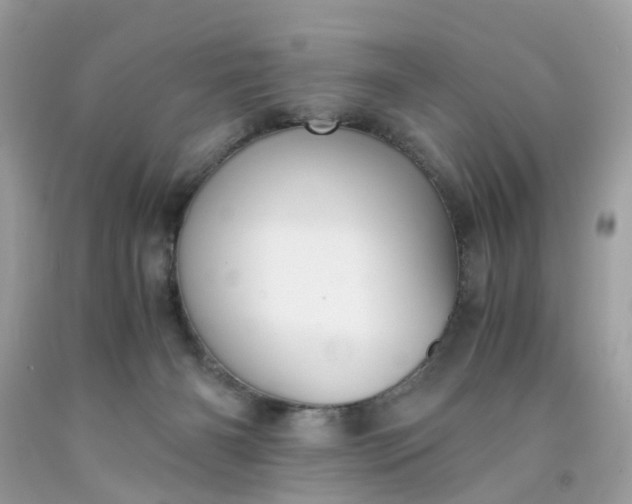 X0000091660126200709061029