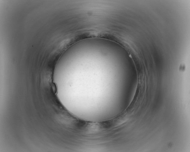 X0000091660127200709061029