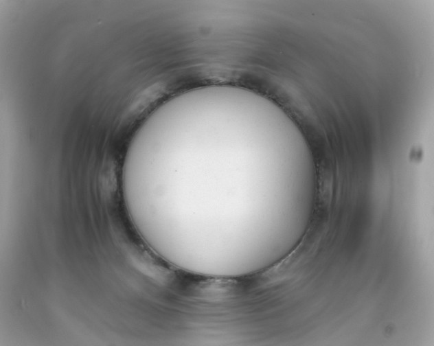 X0000091660128200709061029