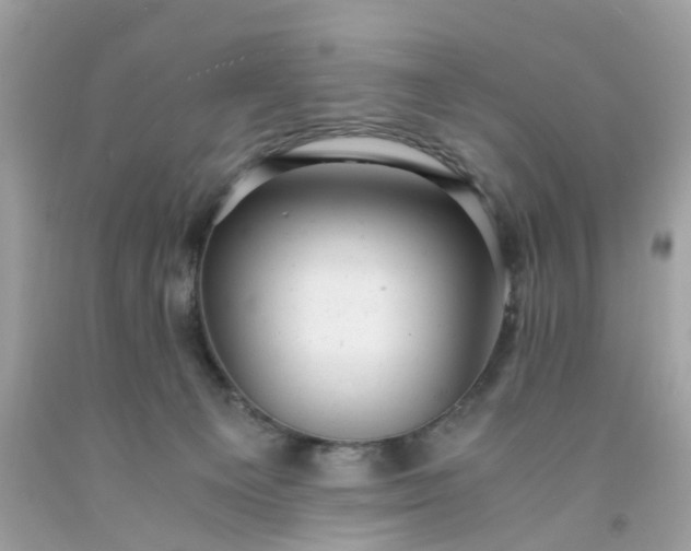 X0000091660129200709061029