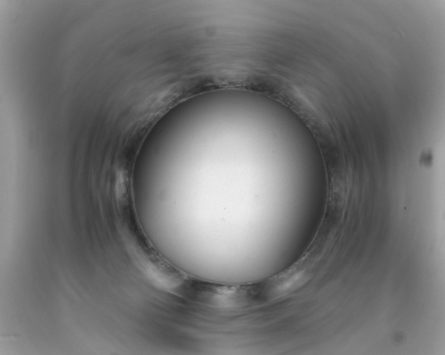 X0000091660130200709061029