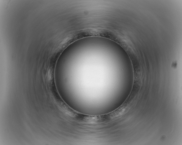 X0000091660131200709061029