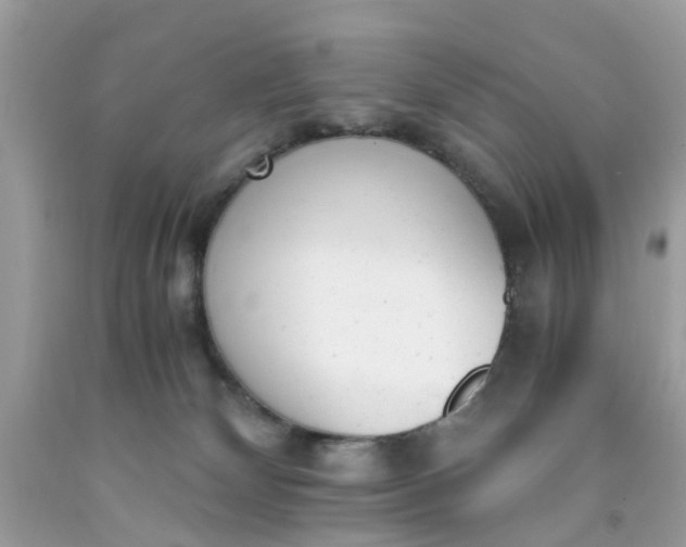 X0000091660132200709061029