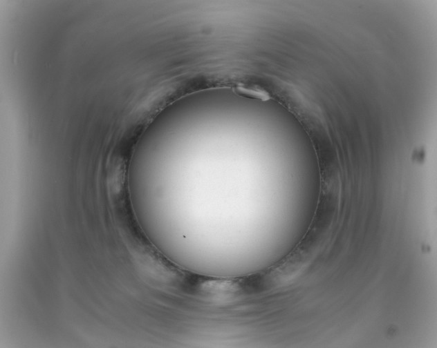 X0000091660133200709061029