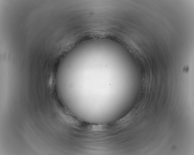 X0000091660134200709061029